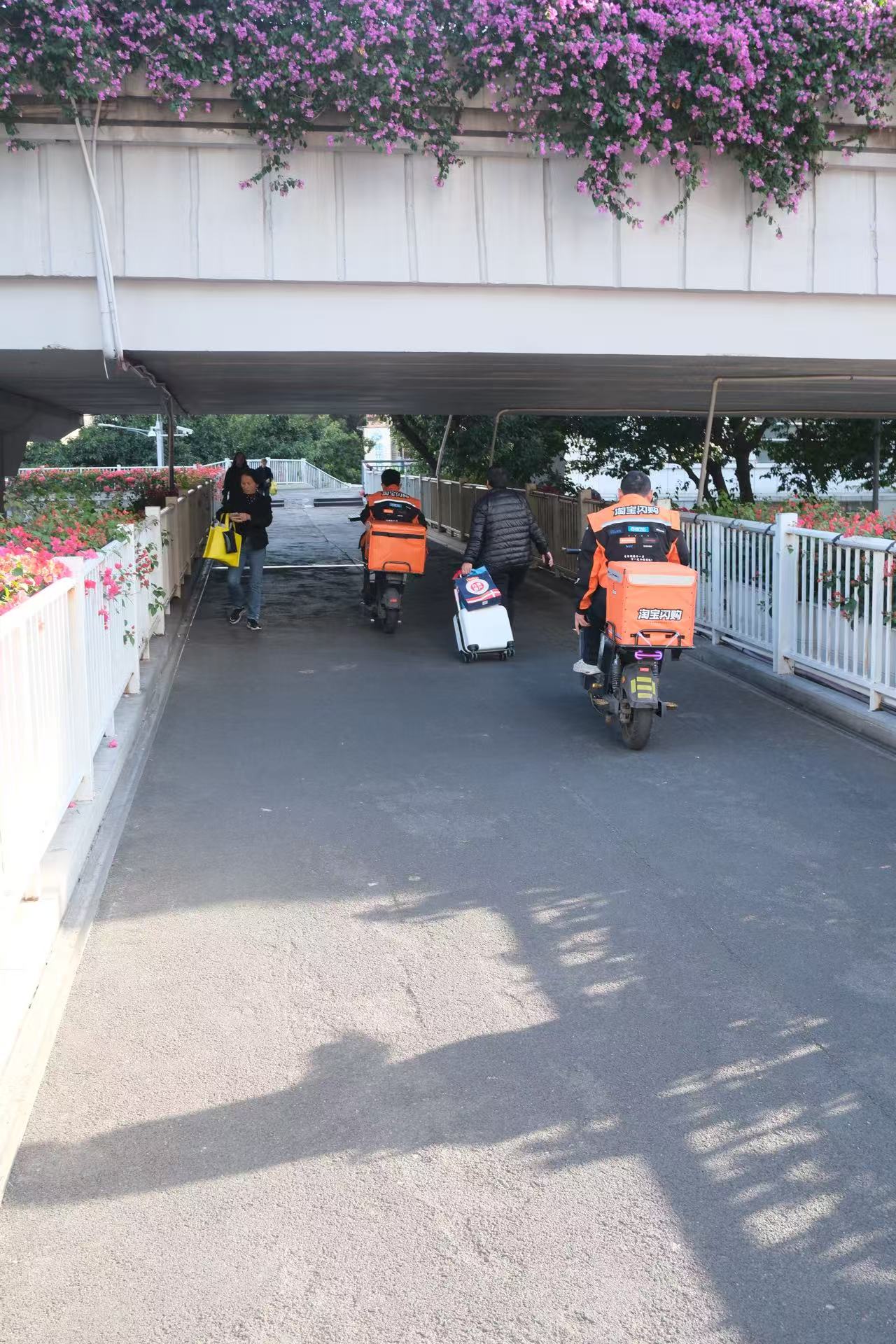 人车混行